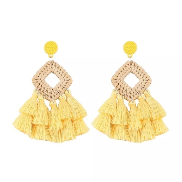 New Wooden Rattan Geometric Tassel Earrings - Picture 6 of 8